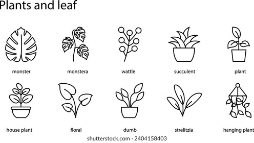 Creating a set of plant and leaf icons involves designing simple and visually distinctive symbols that represent various aspects of plant life. 