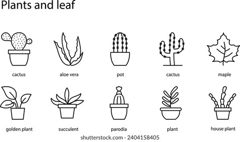 Creating a set of plant and leaf icons involves designing simple and visually distinctive symbols that represent various aspects of plant life. 