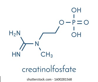Creatinol-O-Phosphate or COP molecule. Skeletal formula.