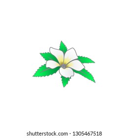 Creative 3D blooming flower vector illustration. Vector illustration flower. Vector illustration EPS.8 EPS.1