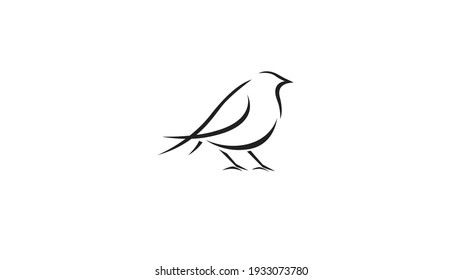 Creative Abstract Bird Lines Logo Vector Design Symbol Icon Illustration 