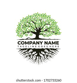 Creative abstract green tree with roots vector logo design template. 