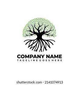Creative abstract vector of green tree with roots vector logo design template. 