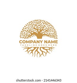 Creative abstract vector of tree with roots vector logo design template. 