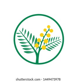 Creative Acacia tree logo template for health, medical, cosmetics and similar companies