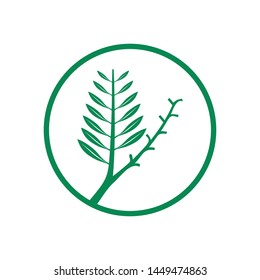 Creative Acacia tree logo template for health, medical, cosmetics and similar companies