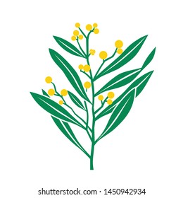 Creative Acacia tree logo template for health, medical, cosmetics and similar companies