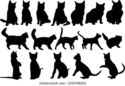 Creative  Amazing Cat Silhouette Vector