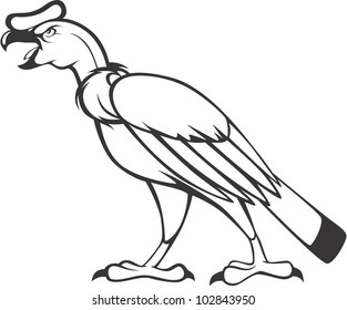 Creative Andean Condor Illustration