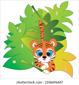 creative animal background design  templet