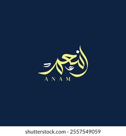 Creative Arabic Calligraphy Vector Logo Design Name Anam