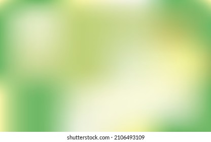 Creative background. Flat lay. Nature concept. Place for your text. Nature trendy decorative design. Light green background.