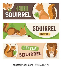 Diseños creativos de pancartas con un lindo personaje de ardilla de dibujos animados. Pequeño mamífero naranja feliz con nuez sonriendo, sentado. Vida silvestre, concepto de naturaleza para diseño de banners o cabeceras