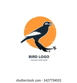 Creative Beautiful Bird icon logo vector design