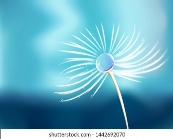Creative and beautiful natural white flower on sky blue background with space for your message. Can be used as greeting card or wallpaper design. - Shutterstock ID 1442692070