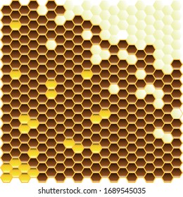 Creative bee honeycomb,  realitic.