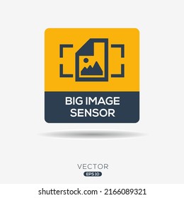 Creative (big image sensor) Icon, Vector sign.