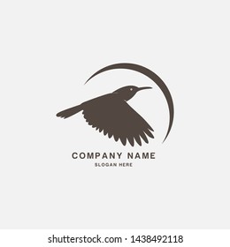 Creative Bird icon logo vector design. Hoopoe bird logo.