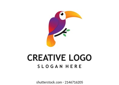 creative bird logo design template