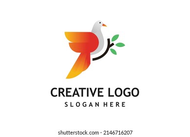 creative bird logo design template