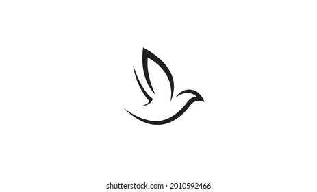 Creative Bird Logo Design Vector Icon Symbol Illustration