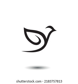 Creative bird logo design vector illustration