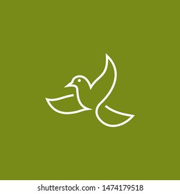 Creative Bird Logo Designs Vector Template