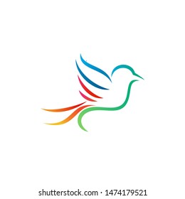 Creative Bird Logo Designs Vector Template