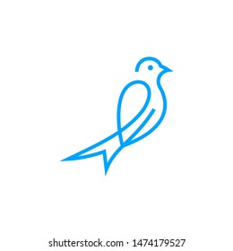 Creative Bird Logo Designs Vector Template