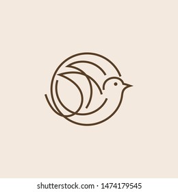 Creative Bird Logo Designs Vector Template
