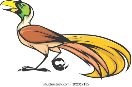 Creative Bird Of Paradise Illustration