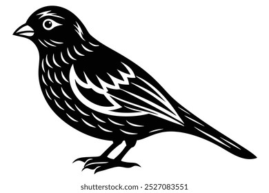 creative bird silhouette vector illustration
