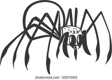 Creative Black Widow Spider Illustration