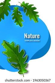 Creative botanical background, oak leaves on blue shapes. Natural product concept. Vector illustration
