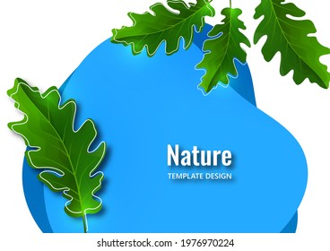 Creative botanical background, oak leaves on blue shapes. Natural product concept. Vector illustration