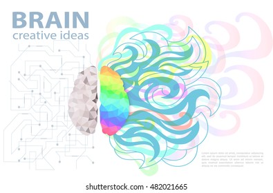Creative brain
