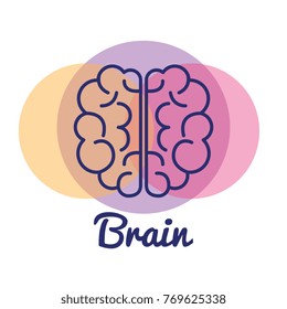 creative brain concept icon