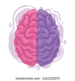 creative brain human organ icon