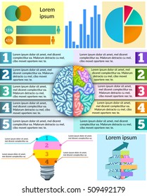 Creative brain infographic with graphs charts and diagram about mind elements and paragraphs vector illustration