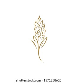Creative brass spike vector illustration