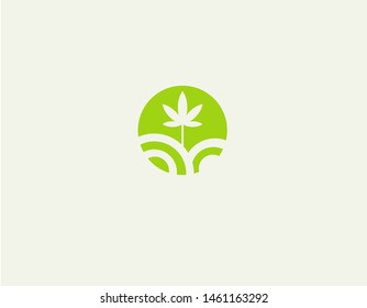 Creative bright green logo icon leaf marijuana field nature for company
