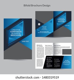 Creative Brochure templates with vector design