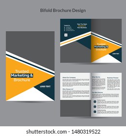Creative Brochure templates with vector design