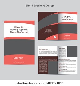 Creative Brochure templates with vector design