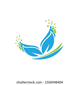 creative butterfly colourful logo  template