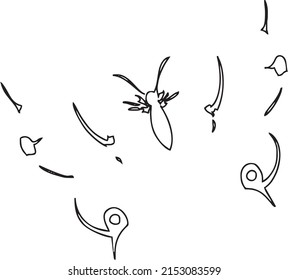 Creative butterfly line art illustration