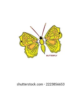 Creative butterfly vector design on white background