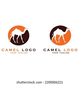 creative camel logo with slogan template