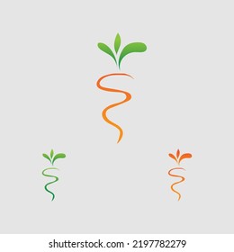 creative Carrot logo and healthy vegetable icon vector illustration best logo design