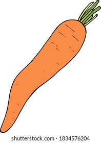 Creative carrot on white background. Vector image.